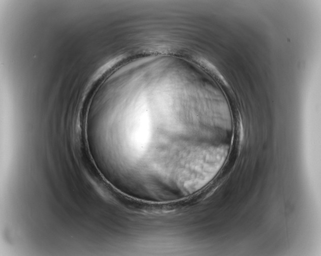 X0000086060674200704091228