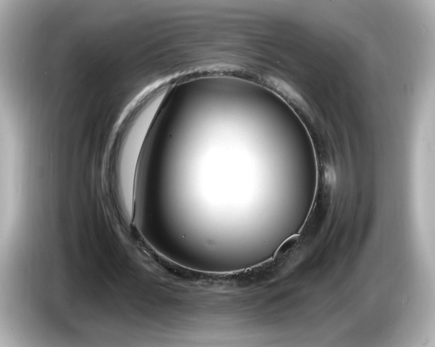 X0000086060676200704091228