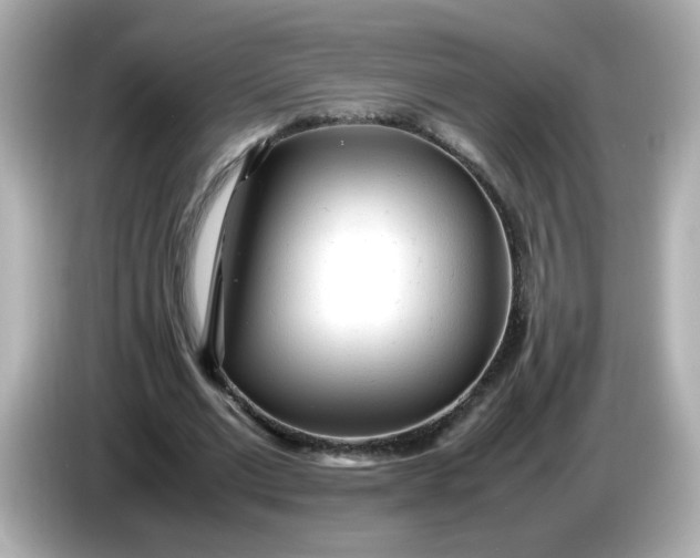 X0000086060677200704091228