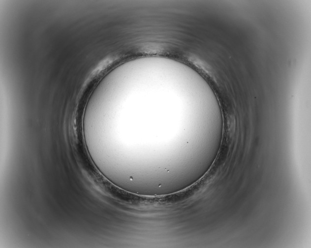 X0000086060682200704091228