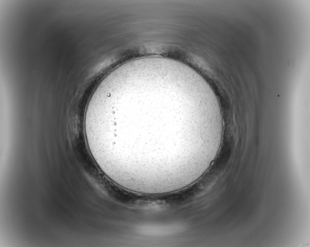 X0000086060683200704091228