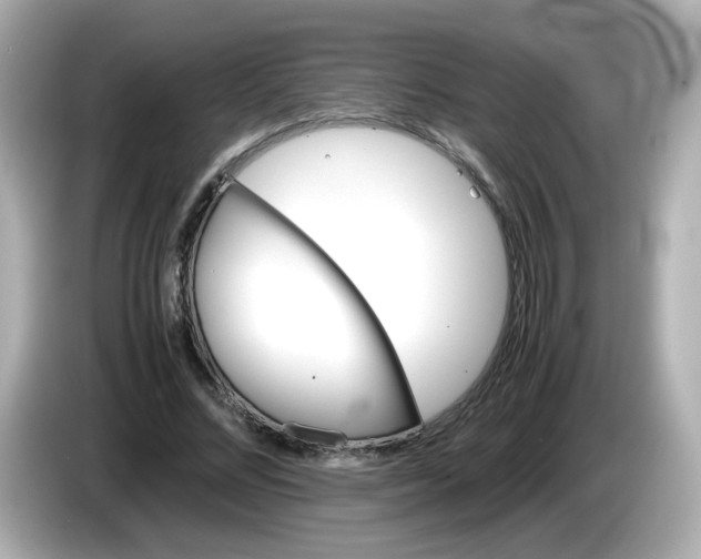 X0000086060684200704091228