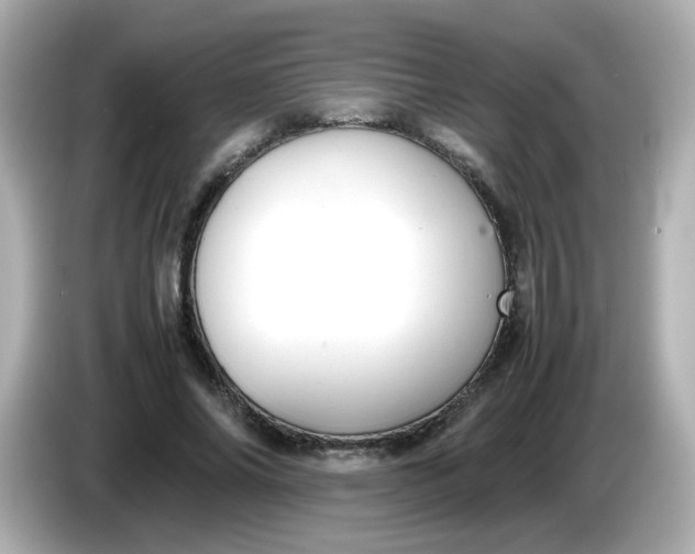 X0000086060686200704091228