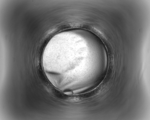 X0000086060687200704091228