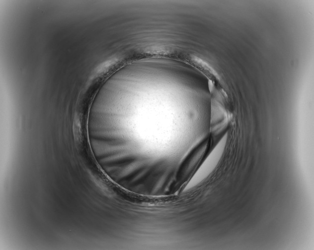 X0000086060688200704091228