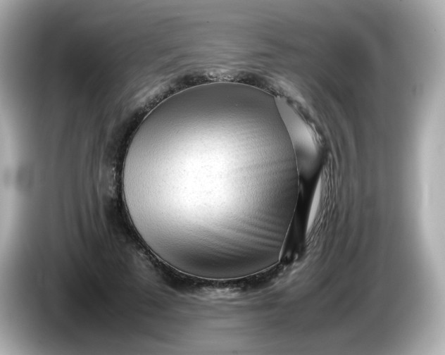 X0000086060689200704091228