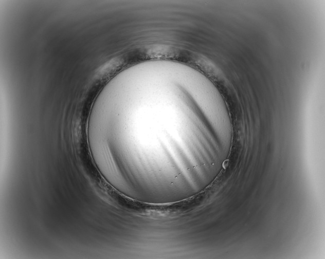 X0000086060690200704091228