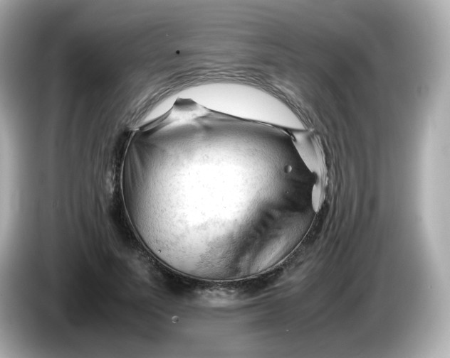 X0000086060691200704091228