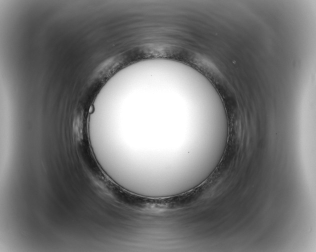 X0000086060694200704091228