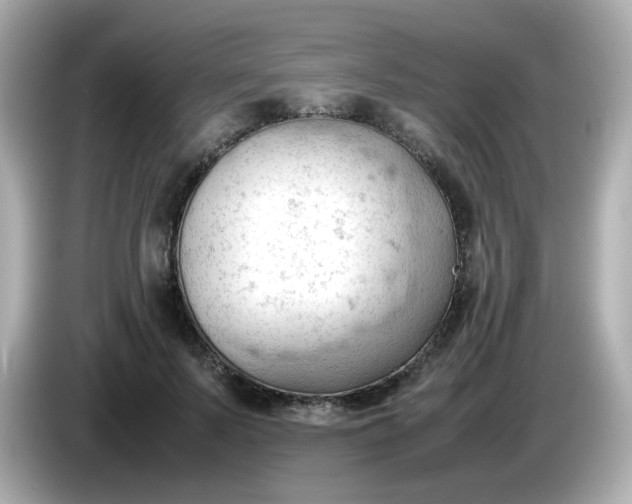 X0000086060695200704091228