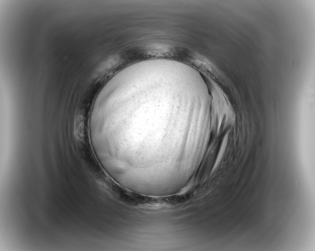 X0000086060696200704091228