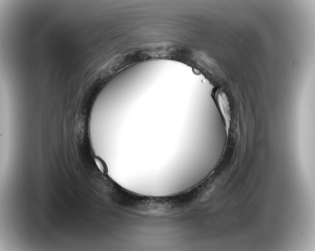 X0000086060697200704091228