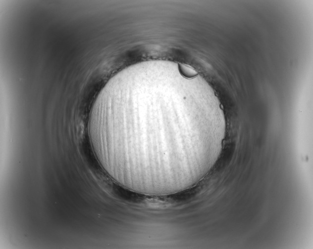 X0000086060703200704091228