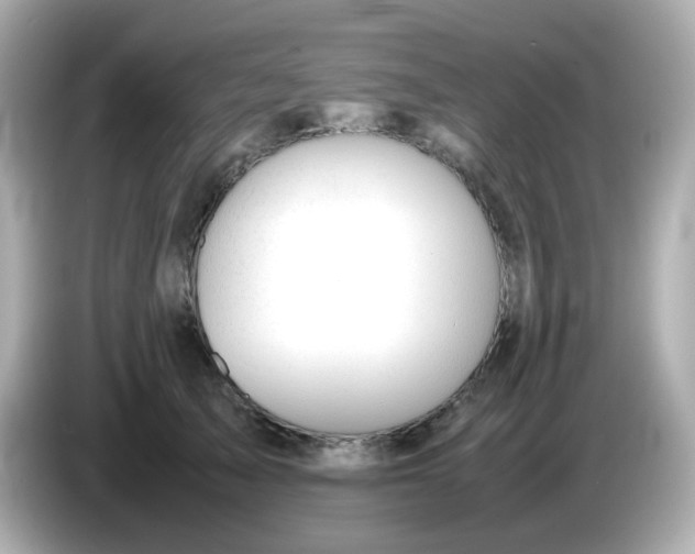 X0000086060705200704091228