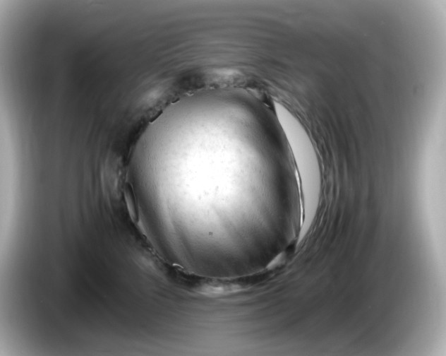 X0000086060712200704091228