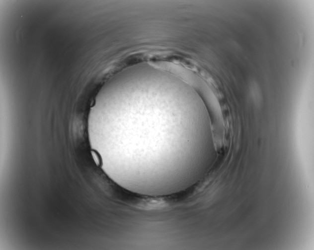 X0000086060715200704091228