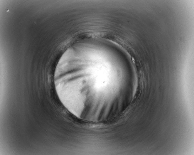 X0000086060716200704091228