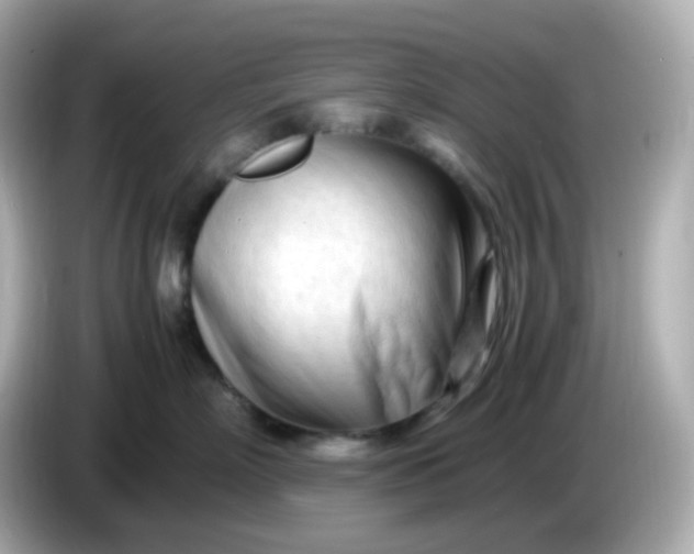 X0000086060718200704091228