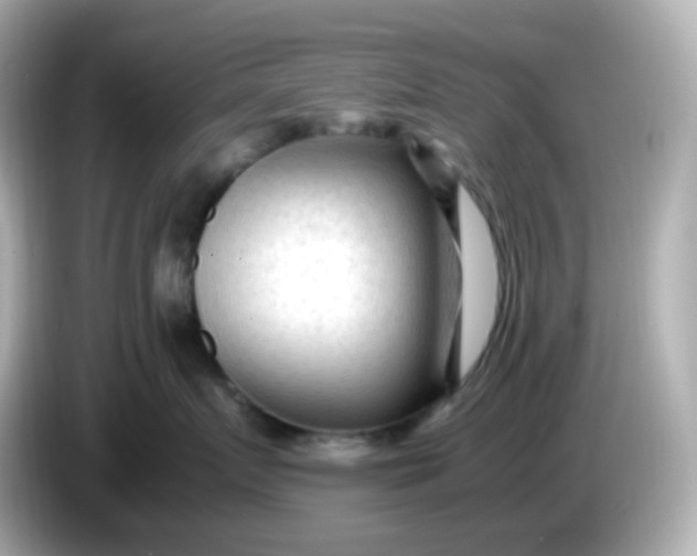 X0000086060719200704091228