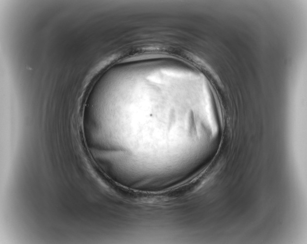 X0000086060721200704091227