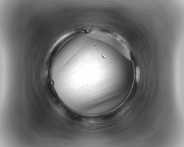 X0000086060723200704091227