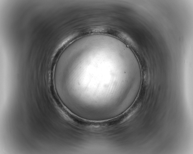 X0000086060725200704091227