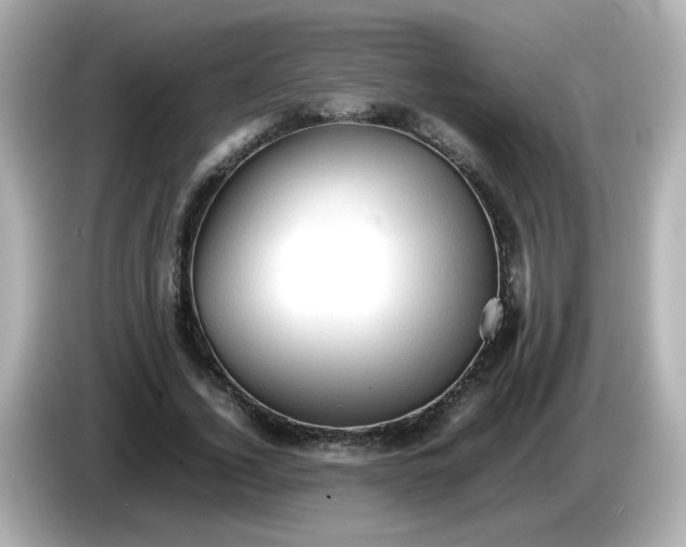 X0000086060732200704091227