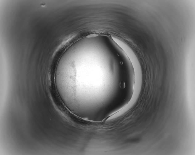 X0000086060734200704091227