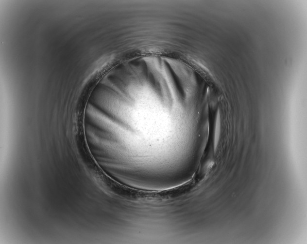 X0000086060738200704091228