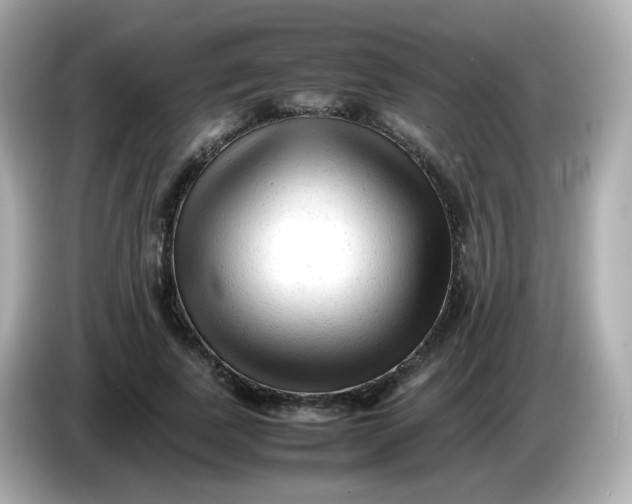 X0000086060739200704091228