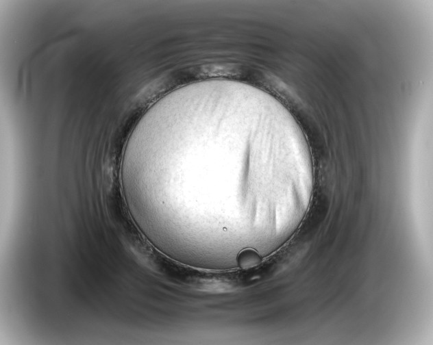 X0000086060741200704091228