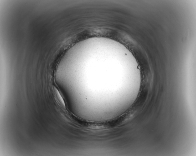 X0000086060749200704091228