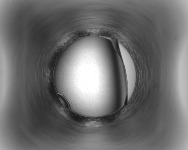 X0000086060750200704091228