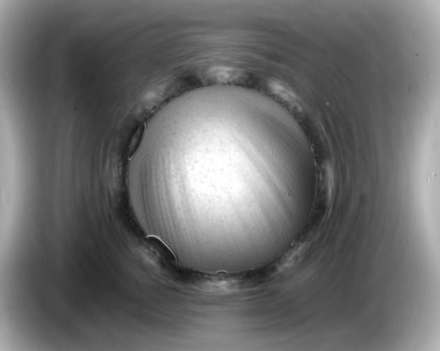 X0000086060760200704091228