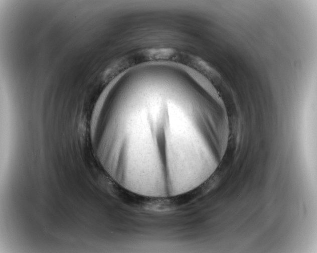 X0000086060761200704091228