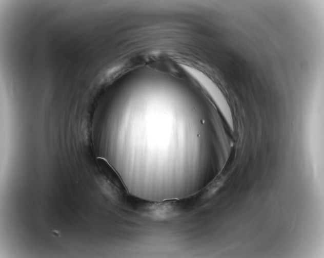 X0000086060762200704091228