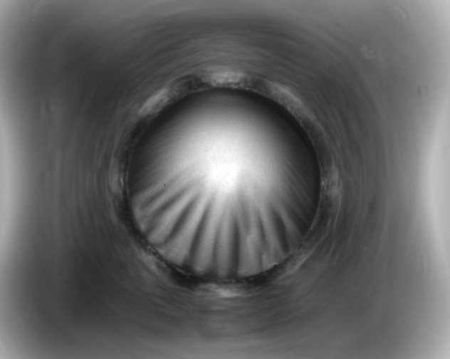 X0000086060763200704091228