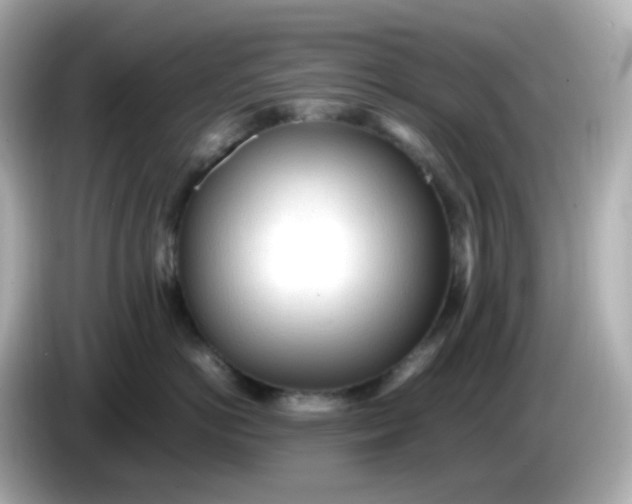 X0000086060766200704091228