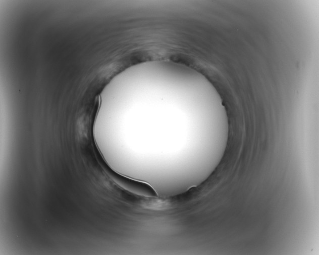 X0000086060768200704091228