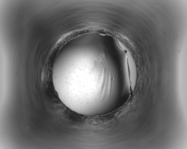 X0000086060776200704091227