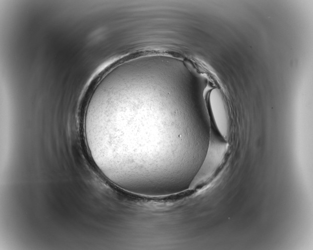 X0000086060779200704091227