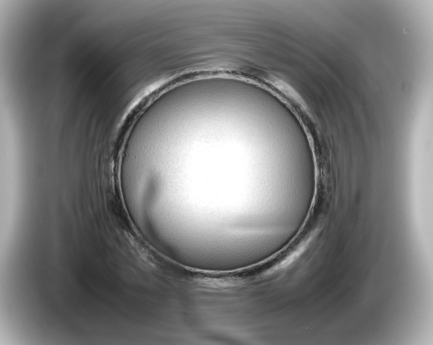 X0000086060781200704091227