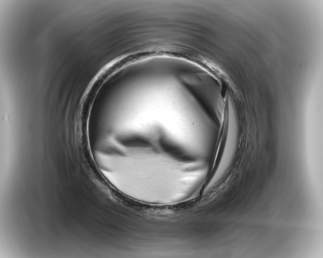 X0000086060784200704091227