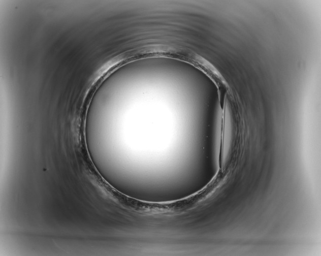 X0000086060786200704091227