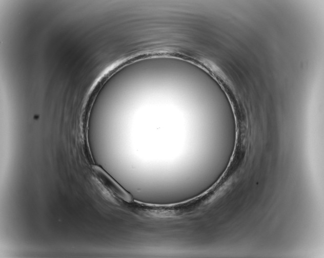 X0000086060789200704091227