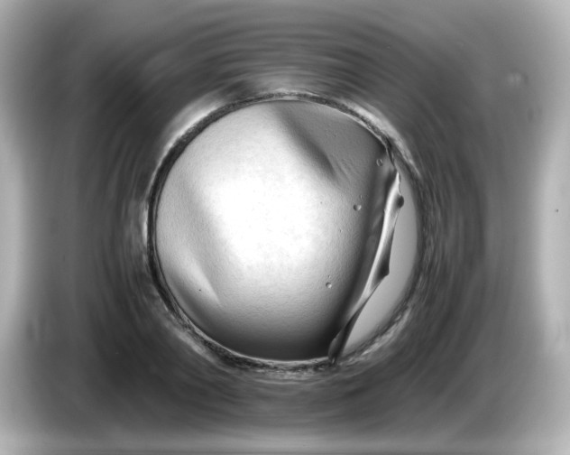 X0000086060790200704091227