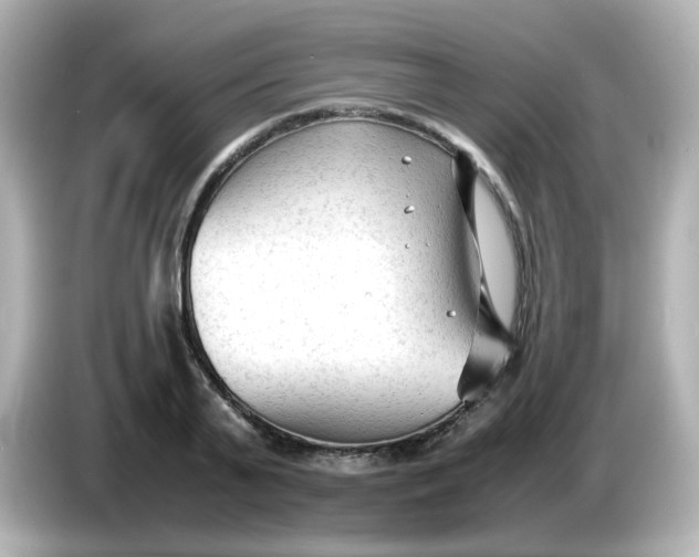 X0000086060791200704091227