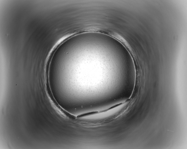 X0000086060795200704091227