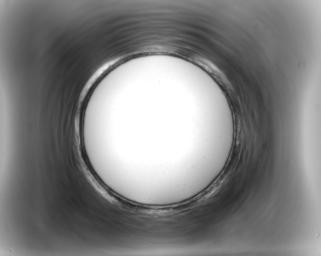 X0000086060796200704091227