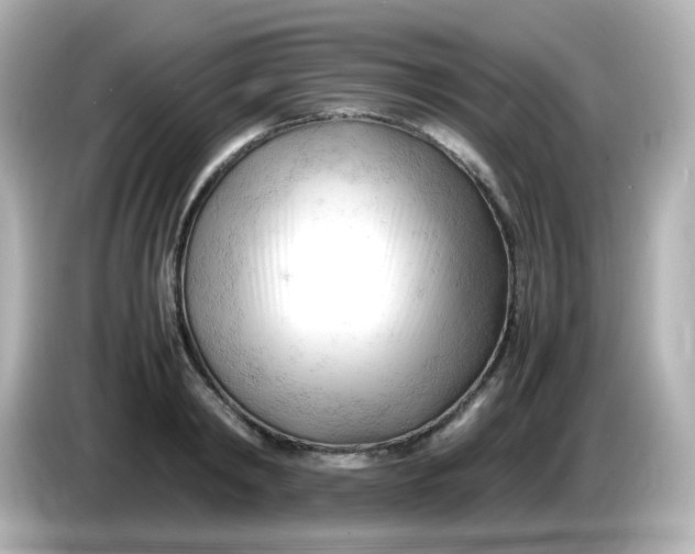 X0000086060798200704091227